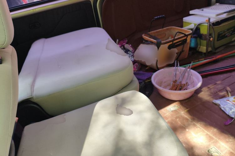 Used Wuling Hongguang V 2019 1.5L Base Version China VI LAR Left Rear Seat