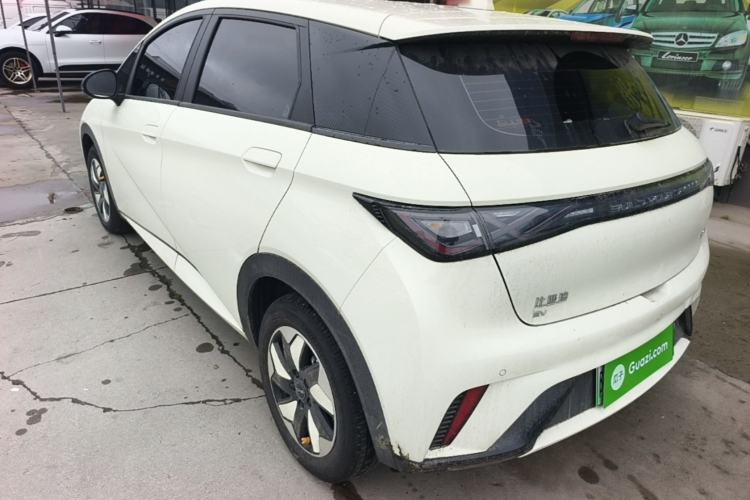 Used BYD Dolphin 2025 420km Free Edition
