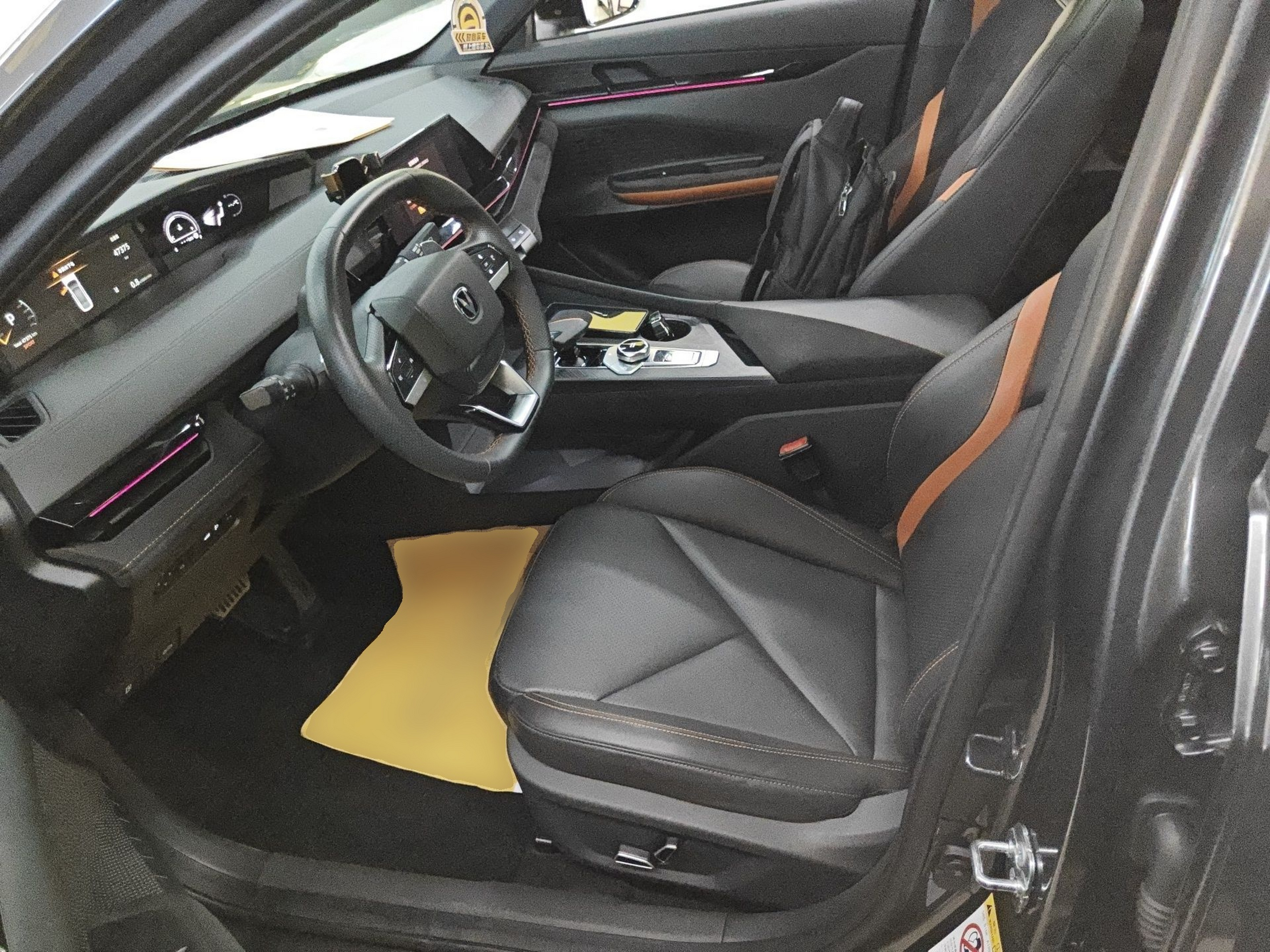 Interior delantero