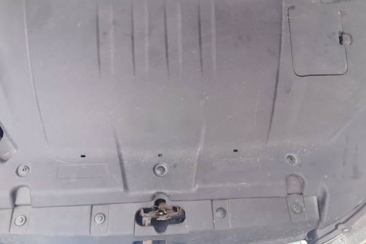 Used NETA V 2021 Standard Range Entertainment Edition