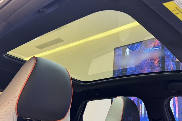 Used BYD Dolphin 2021 405 km Fashion Edition Headliner