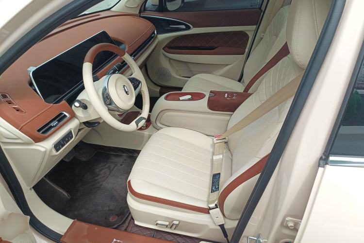 Used ORA Good Cat 2024 501 km Luxury Version Left Front Seat