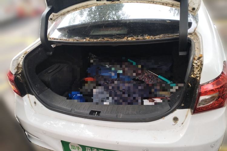 Used BYD Qin New Energy 2016 Qin EV300 Prestige Model
