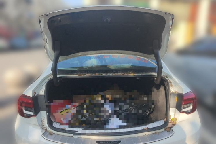 Used Buick Regal 2020 552T Luxury Version