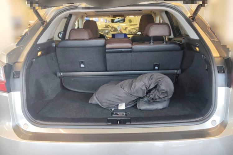 Used Lexus RX 2016 300 4x4 Elegant Edition China V-standard Trunk