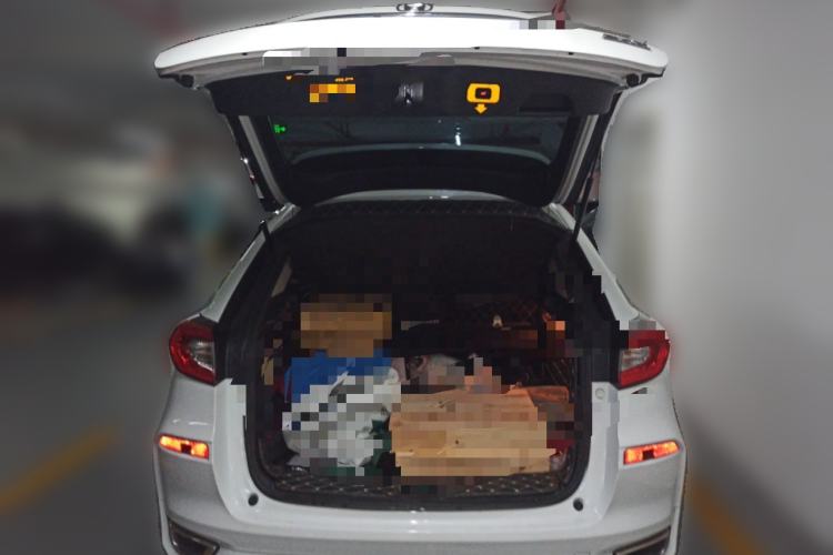 Used Honda Avancier 2017 370TURBO 2WD Luxury Edition
