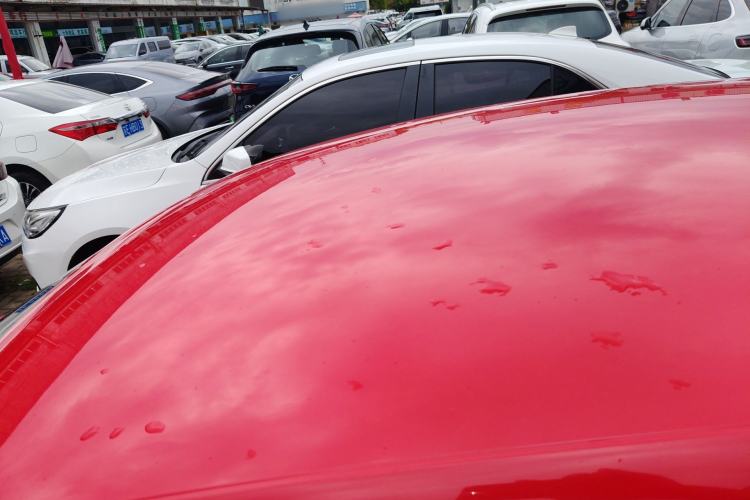 Used Volkswagen Polo 2018 1.5L Automatic Advanced Driving Model Roof