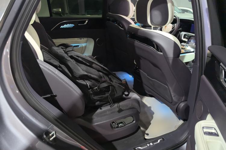 Used Hongqi E-HS9 2021 460 km Range Flagship Edition Six-Seater
