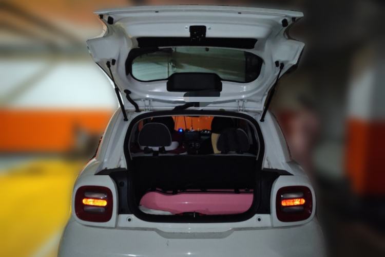 Used ORA Black Cat 2021 301 km Basic Version Trunk