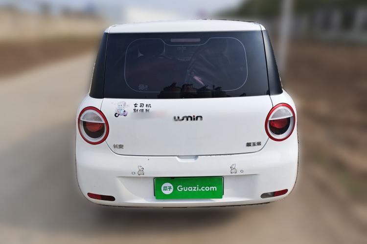 Used Qiyuan Lumin 2025 205 km Xiangqin Version