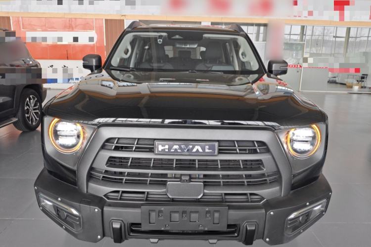 Used Haval DARGO 2024 2.0T DCT Chinese Rural Dog Edition
