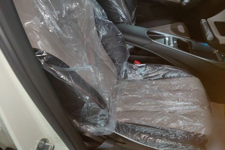 Used BYD Dolphin 2025 420km Free Edition Right Front Seat