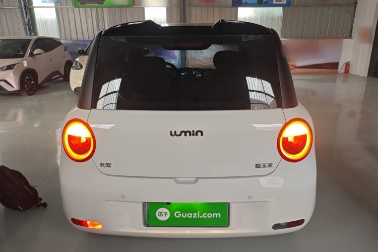 Used Qiyuan Lumin 2023 205km Xiangqin Version