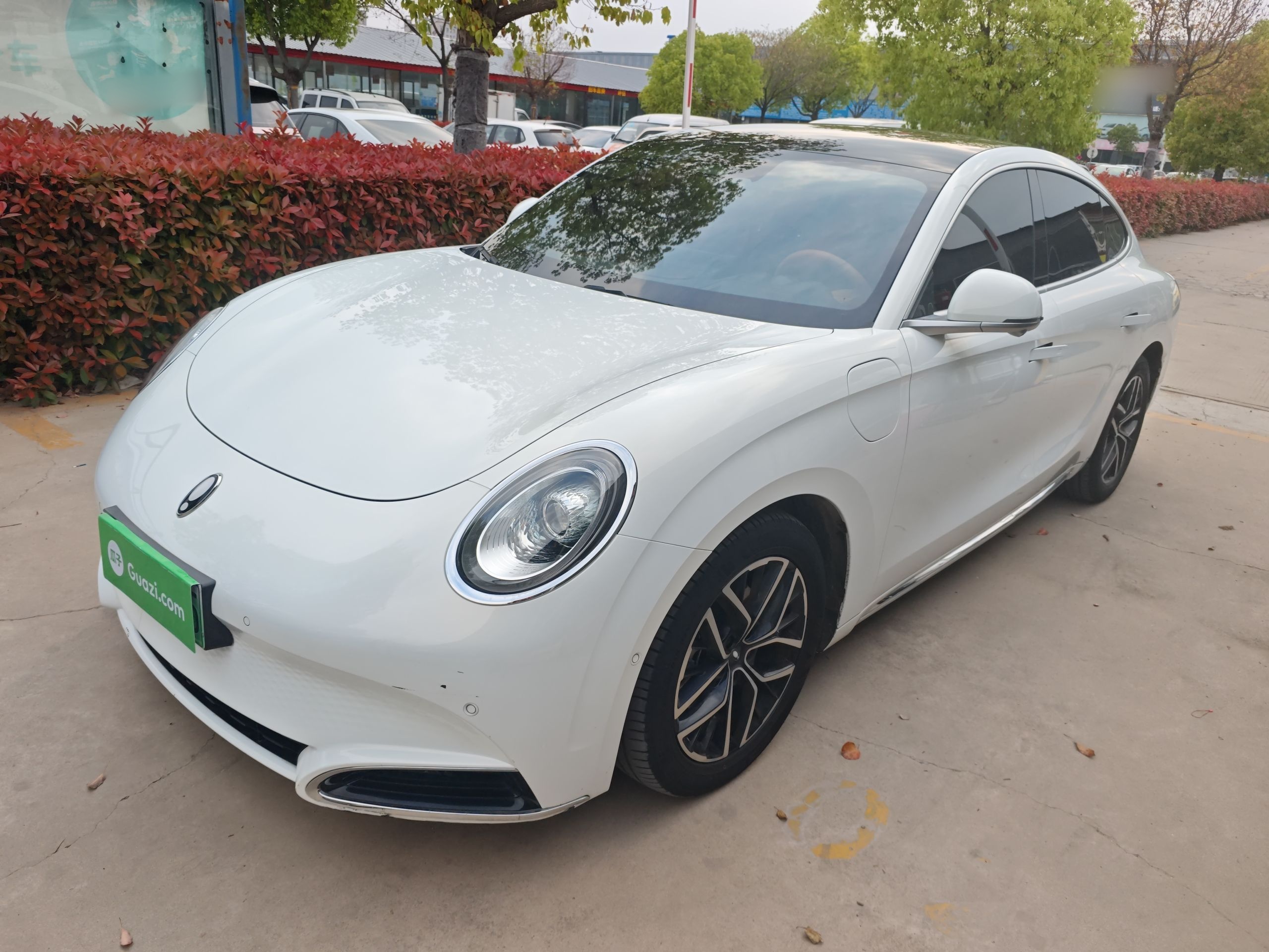 Parte inferior delantera