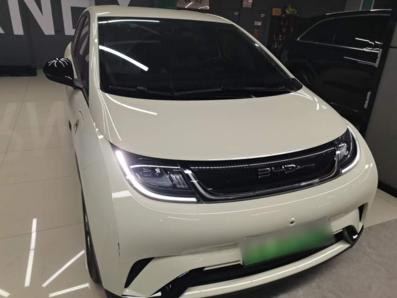 Used BYD Dolphin 2025 420km Free Edition — 2