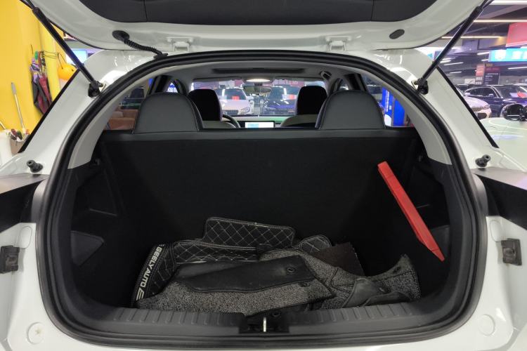 Used Geometry E Firefly 2022 401 km Linglong Tiger 4 Seats