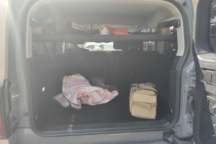 Used Tank 300 2021 2.0T Wind & Forest Iron Rider