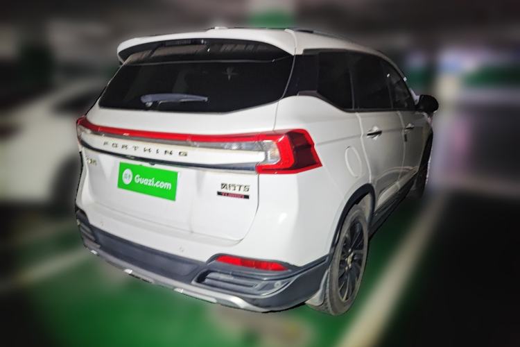 Used FORTHING T5 2018 300T DCT Smart Version Exterior 5