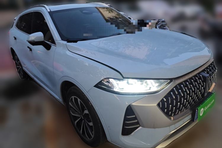 Used Wey Mocha 2021 2.0T Two-Wheel-Drive Premium Edition