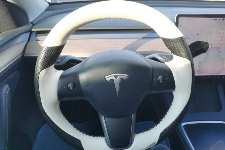 Used Tesla Model Y 2021 Standard Range Rear-Wheel Drive Version