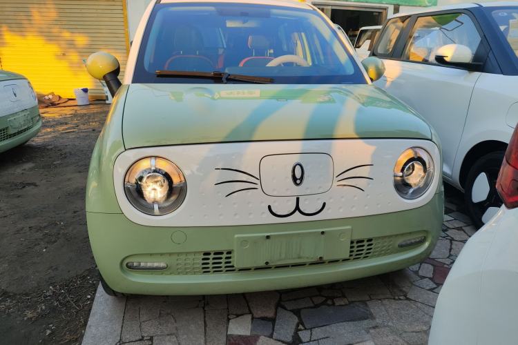 Used ORA Black Cat 2022 351 km Range Comfort Version Ternary Lithium
