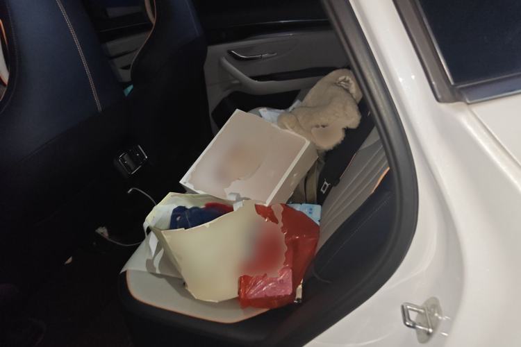 Used BYD Song PLUS New Energy 2021 EV Deluxe Model Left Rear Seat