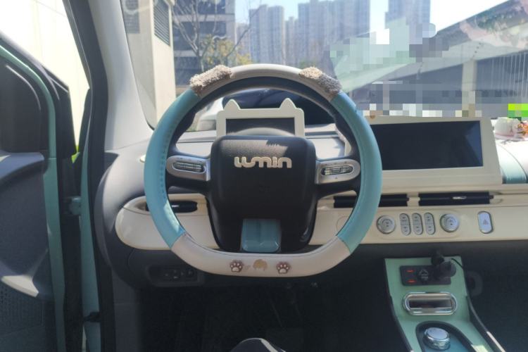 Used Qiyuan Lumin 2023 205km Xiangqin Version
