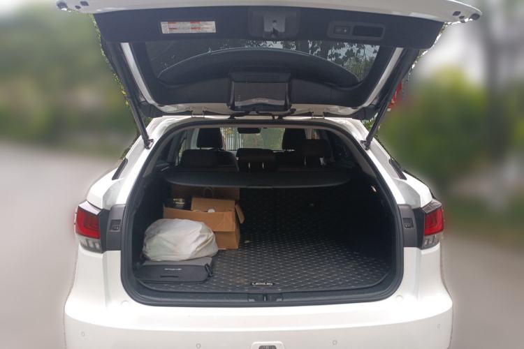 Used Lexus RX 2020 Facelifted 300 4x4 Elegant Edition