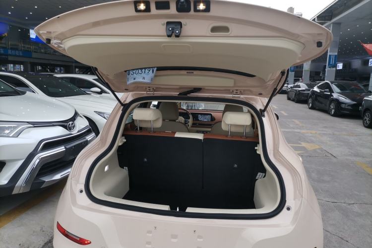 Used ORA Good Cat 2022 Morandi Edition 400km Standard Range Luxury Version Lithium Iron Phosphate Trunk