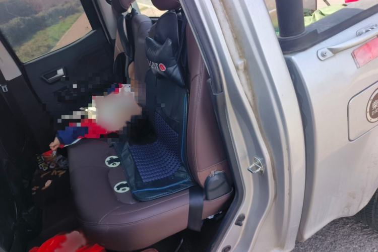 Used Great Wall Wingle 7 2019 2.0T Diesel Two-Wheel Drive Elite Version China VI Standard Big Double Cabin GW4D20M