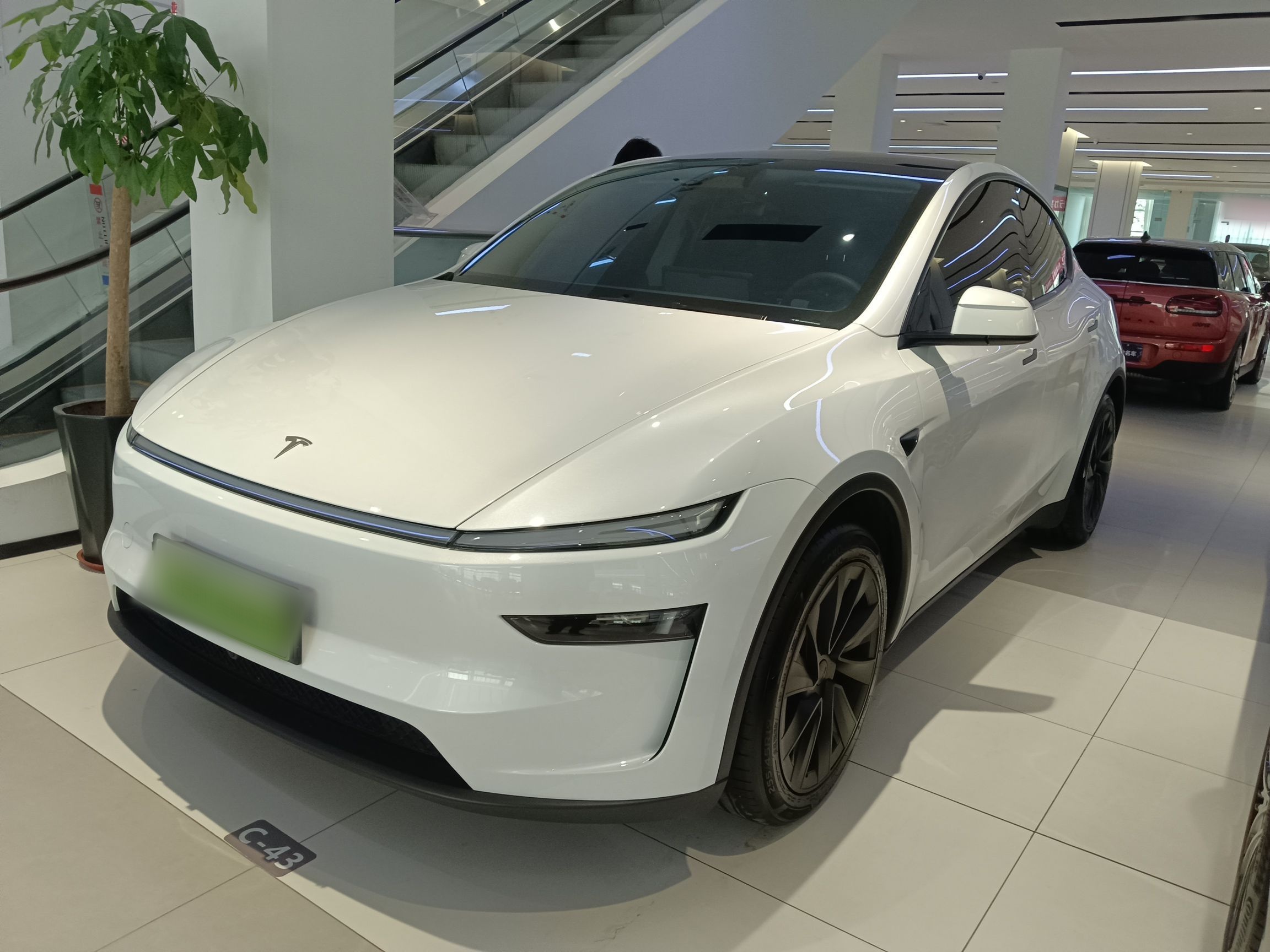 Parte inferior delantera