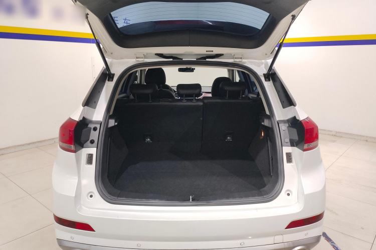 Used Haval H6 Coupe 2019 1.5T Automatic Two-Wheel Drive Elite Version China VI Standard
