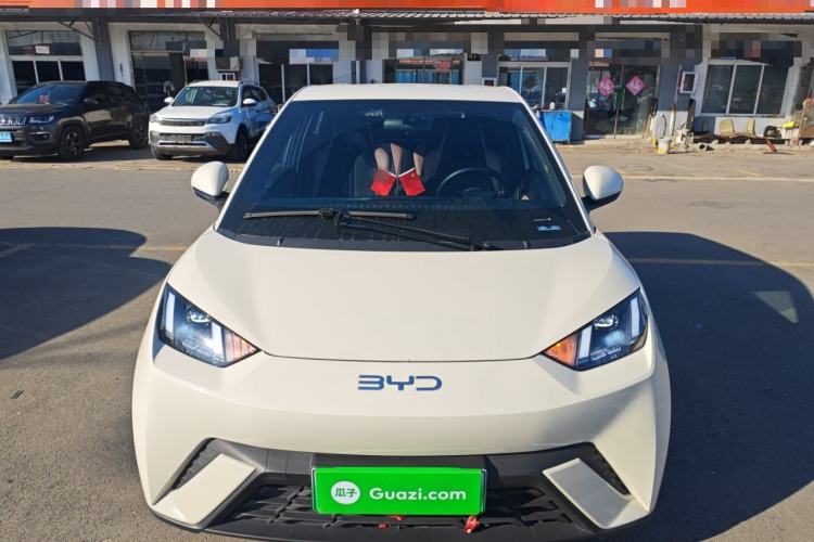 Used BYD Seagull 2024 Honor Edition 305km Freedom Version
