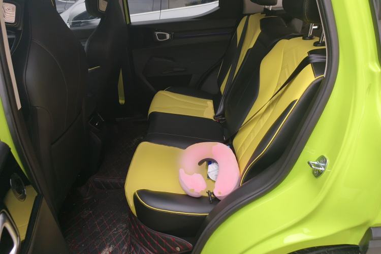 Used Haval X DOG 2022 1.5T DCT Four-Wheel Drive Trendy Wild Edition Left Rear Seat