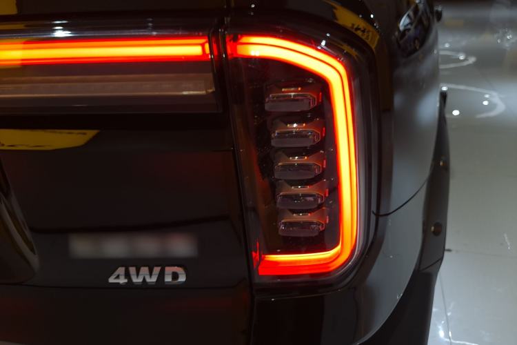 Used Haval DARGO 2024 2.0T DCT Chinese Rural Dog Edition