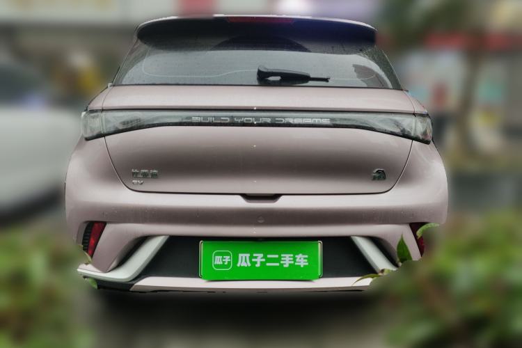 Used BYD Dolphin 2023 420 km Fashion Edition Rear