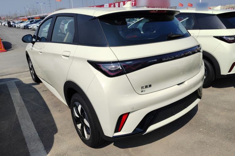 Used BYD Dolphin 2025 420km Free Edition