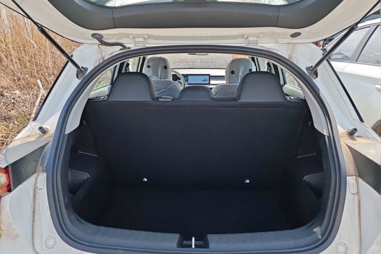 Used Geometry E Firefly 2024 401 km Fluorescent Trunk