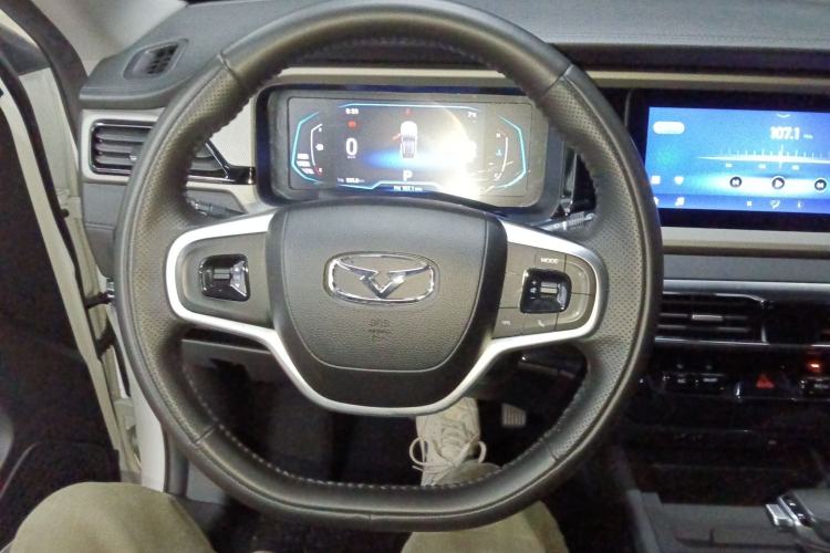 Used Cowin Xuanjie 2024 1.5L CVT Luxury Edition