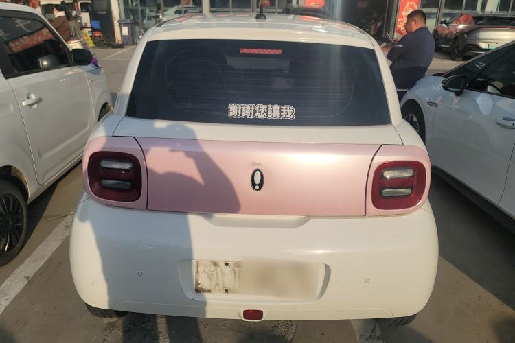 Used ORA Black Cat 2022 Updated Version 301 km Cute Pet Edition Lithium Iron Phosphate Rear