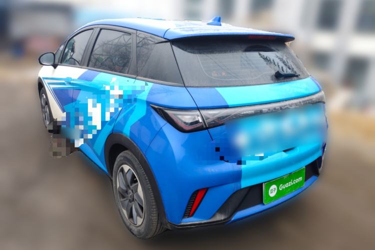 Used BYD Dolphin 2024 Honor Edition 420km Freedom Version
