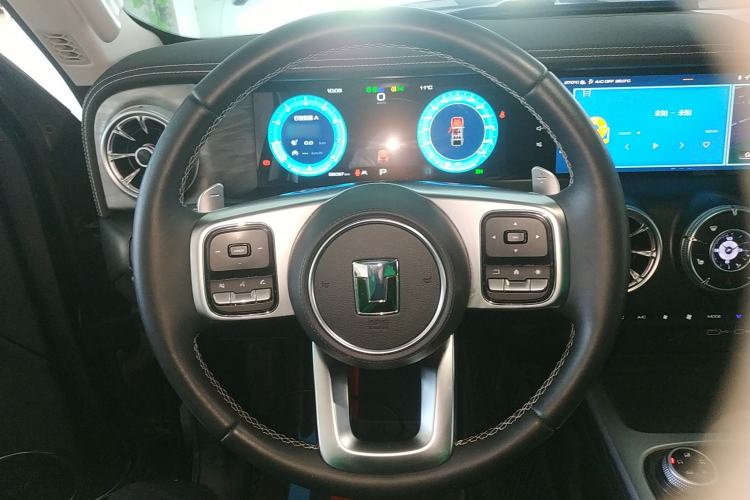 Used Tank 300 2024 2.0T Conqueror