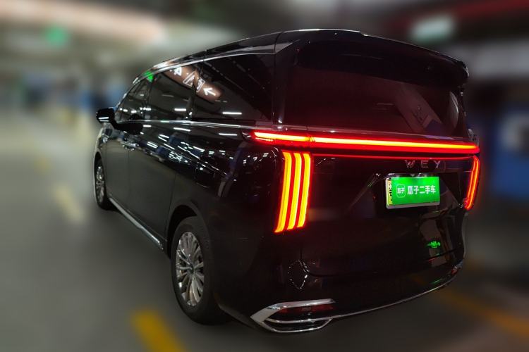 Used Wey Gaoshan 2023 Four-Wheel Drive Flagship Edition