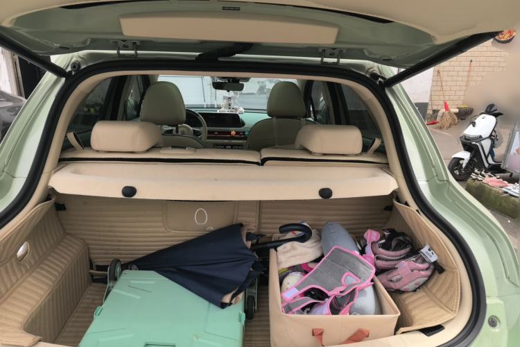 Used ORA Good Cat 2022 400km Standard Range Premium Version Lithium-Ion Battery
