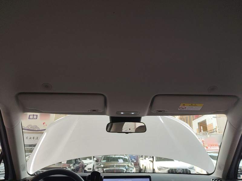 Used BYD Yuan UP 2024 401KM Leading Edition — 17