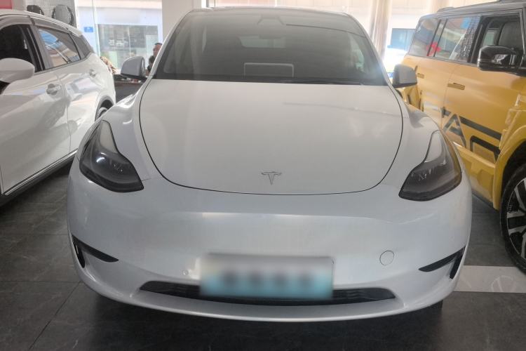 Used Tesla Model Y 2021 Standard Range Rear-Wheel Drive Version
