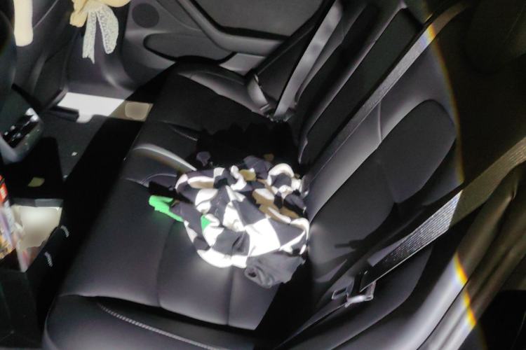 Used Tesla Model 3 2022 Rear-Wheel-Drive Version Left Rear Seat