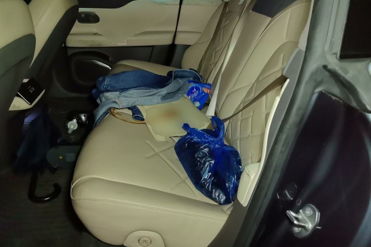 Used Nio ET7 2022 100kWh First Edition Left Rear Seat