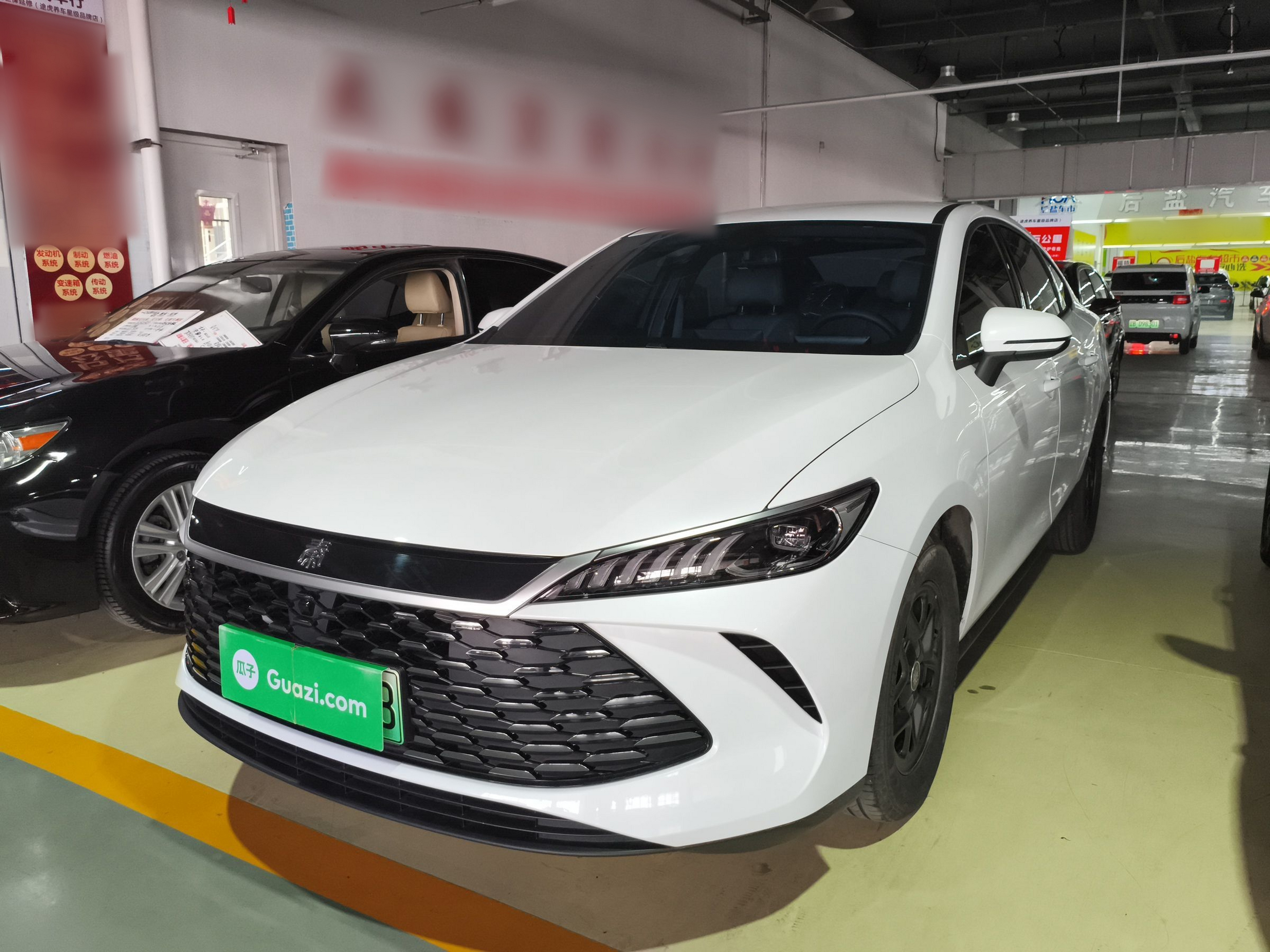 Parte inferior delantera