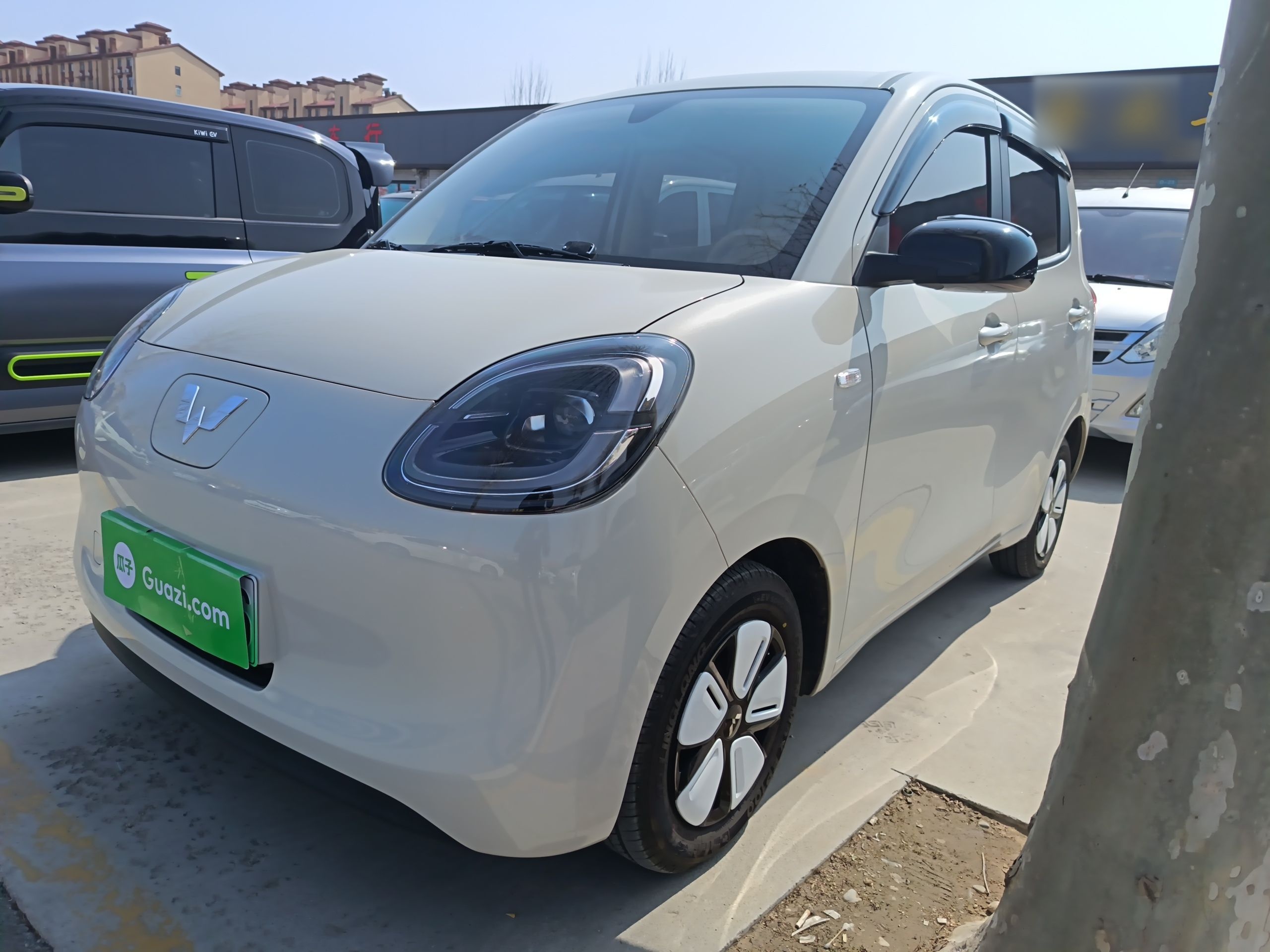 Parte inferior delantera